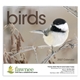 Triumph(R) Calendars Birds Calendar
