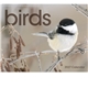 Triumph(R) Calendars Birds Calendar