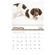 Triumph(R) Calendars Puppies Calendar