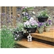 Triumph(R) Calendars Gardens Calendar