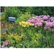 Triumph(R) Calendars Gardens Calendar