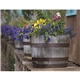Triumph(R) Calendars Gardens Calendar