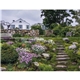 Triumph(R) Calendars Gardens Calendar