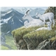 Wildlife Art