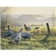 Wildlife Art