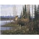 Wildlife Art
