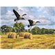 Wildlife Art - Triumph(R) Calendars - Digital
