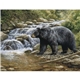 Wildlife Art
