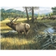 Wildlife Art - Triumph(R) Calendars - Digital