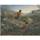 Wildlife Art
