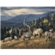 Wildlife Art
