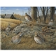 Wildlife Art