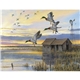 Wildlife Art