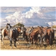 Triumph(R) Calendars American West by Tim Cox Calendar