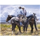 Triumph(R) Calendars American West by Tim Cox Calendar