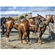 Triumph(R) Calendars American West by Tim Cox Calendar