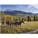 Triumph(R) Calendars American West by Tim Cox Calendar