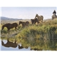 Triumph(R) Calendars American West by Tim Cox Calendar