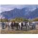 Triumph(R) Calendars American West by Tim Cox Calendar