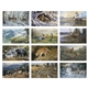 Triumph(R) Calendars Wildlife Art Calendar