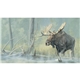 Wildlife Art Calendar