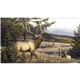 Triumph(R) Calendars Wildlife Art by the Hautman Brothers Calendar
