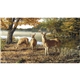 Triumph(R) Calendars Wildlife Art by the Hautman Brothers Calendar