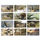Triumph(R) Calendars Wildlife Art by the Hautman Brothers Calendar
