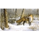 Triumph(R) Calendars Wildlife Art by the Hautman Brothers Calendar