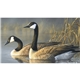 Triumph(R) Calendars Wildlife Art by the Hautman Brothers Calendar