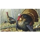 Triumph(R) Calendars Wildlife Art by the Hautman Brothers Calendar