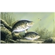 Triumph(R) Calendars Wildlife Art by the Hautman Brothers Calendar