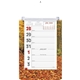 Full - Color Weekly Memo