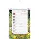 Full - Color Weekly Memo