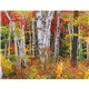 Triumph(R) Calendars Decorator Memo (Tan) Calendar