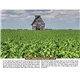 Triumph(R) Calendars Scenic Almanac