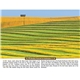 Triumph(R) Calendars Scenic Almanac