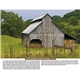 Scenic Almanac