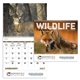 Good Value(TM) Wildlife Portraits - Spiral Calendar