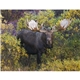 Good Value(TM) Wildlife Portraits - Spiral Calendar