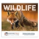 Good Value(TM) Wildlife Portraits - Spiral Calendar