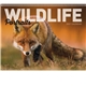 Good Value(TM) Wildlife Portraits - Spiral Calendar