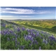 Good Value(TM) Landscapes of America - Stapled Calendar