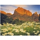 Good Value(TM) Landscapes of America - Stapled Calendar