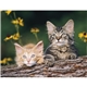 Good Value(TM) Puppies Kittens - Stapled Calendar