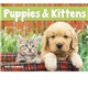 Good Value(TM) Puppies Kittens - Stapled Calendar