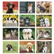 Good Value(TM) Puppies Kittens - Stapled Calendar