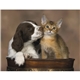 Good Value(TM) Puppies Kittens - Stapled Calendar