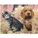 Good Value(TM) Puppies Kittens - Stapled Calendar
