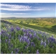 Good Value(TM) Landscapes of America - Mini Calendar